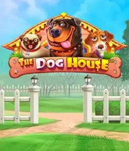 Experience Pragmatic Play's The Dog House Slot, featuring a fun-filled experience into the world of lovable dogs. Discover features such as free spins, aimed at delivering joyful moments. Ideal for those who enjoy a lighthearted theme alongside lucrative rewards.