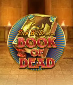 Embark on the thrilling world of Book of Dead Slot by Play'n GO, presenting vivid graphics of Rich Wilde's journey through ancient Egyptian tombs and artifacts. Uncover lost riches with captivating mechanics like free spins, expanding icons, and a gamble option. Ideal for adventure seekers with a desire for unearthing secrets.